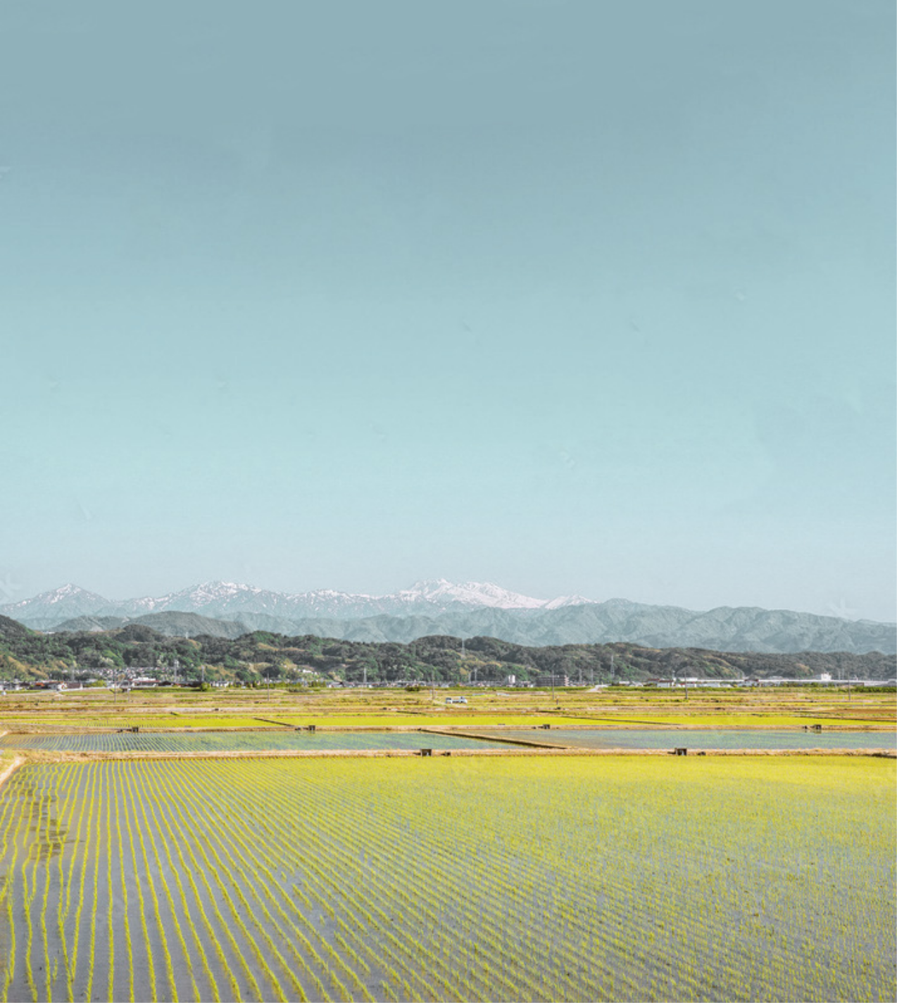 田園風景